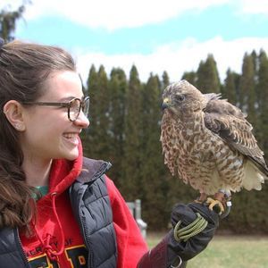 Meet your Posher, Sydney